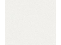 A. S. Creation Pretierateľná vliesová tapeta Meistervlies Creativ biela 389817