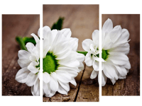 Bondecor 3dielna súprava obrazov Flora 50 x 70 cm