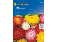KIEPENKERL Slamienka (Helichrysum bracteatum) Mix