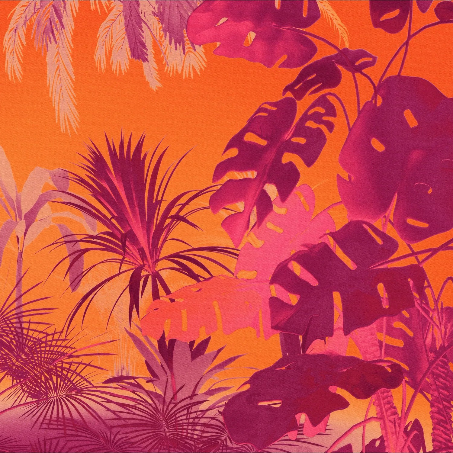 E-shop Komar Vliesová fototapeta Funky Jungle 250 x 250 cm