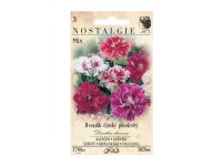 Nostalgie Klinček čínsky plnokvetý zmes Nostalgie Klinček čínsky plnokvetý zmes