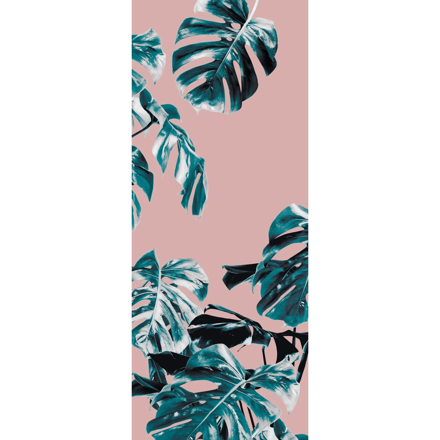 E-shop Komar Vliesová fototapeta Monstera Rosé Panel 100 x 250 cm