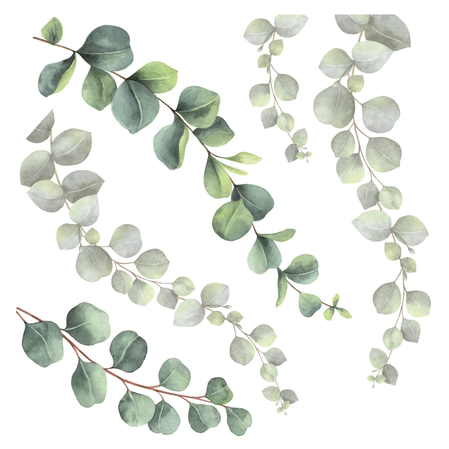 E-shop Crearreda Samolepiaca dekorácia 54120 motív eukalyptus, veľ. M