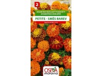 Semienka Aksametnica rozložitá Petite, zmes farieb (Tagetes patula nana)
