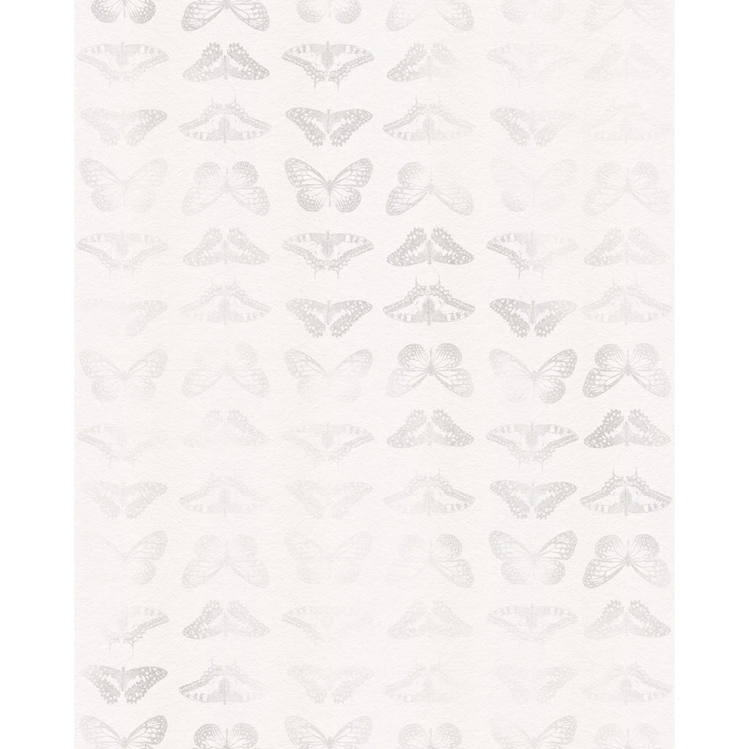 E-shop Komar Vliesová fototapeta Mur de Papillons 200 x 250 cm