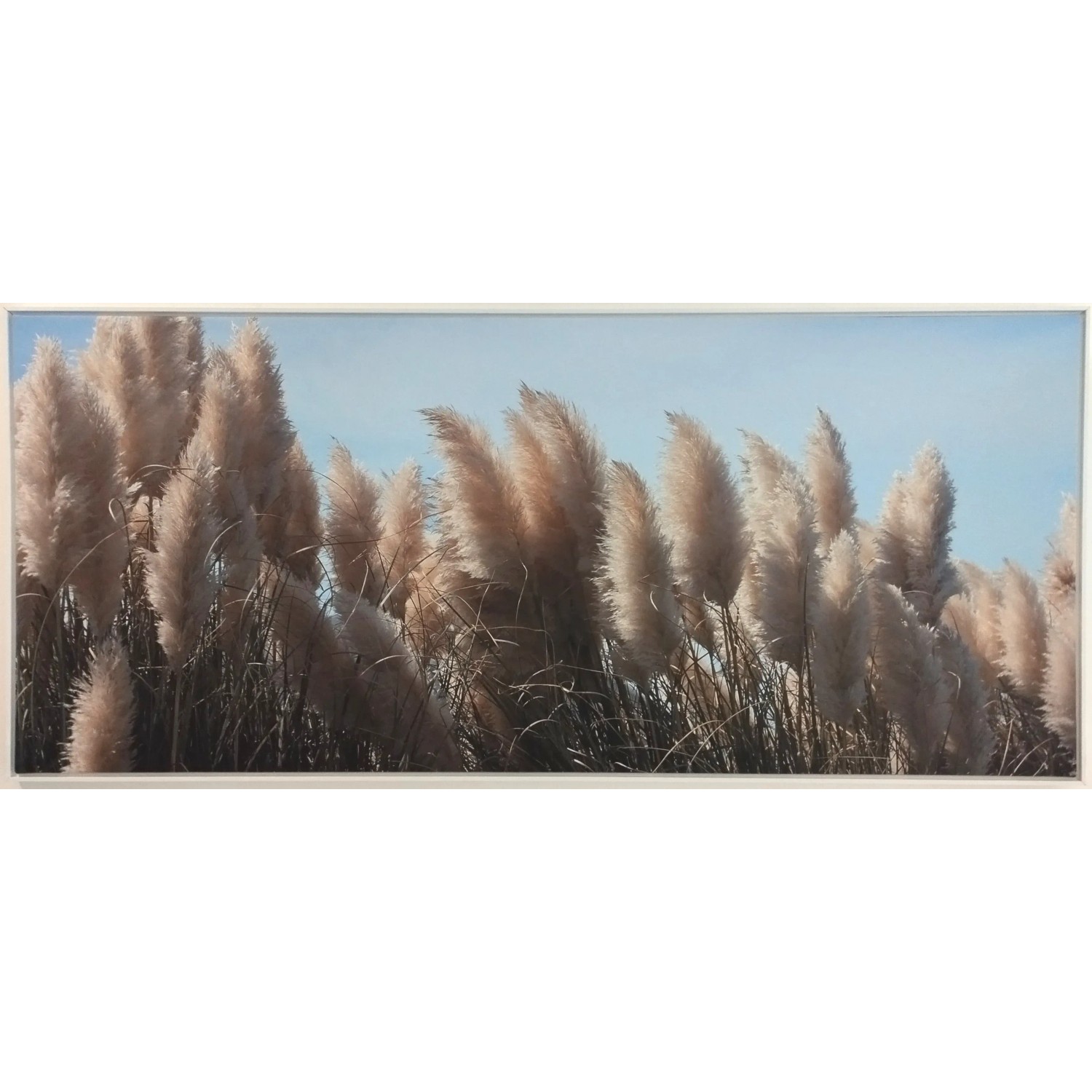E-shop Bondecor Obraz, MDF rám, SHADOW Pampa 59 x 134 cm