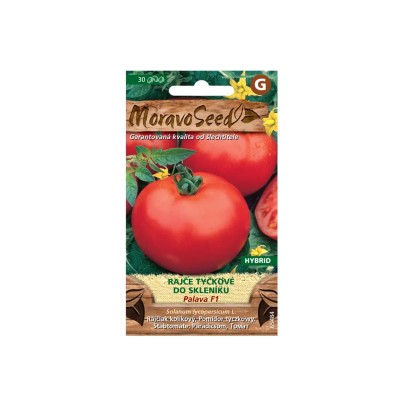 MoravoSeed Rajčiak kolíkový PALAVA F1 - hybrid, do skleníka