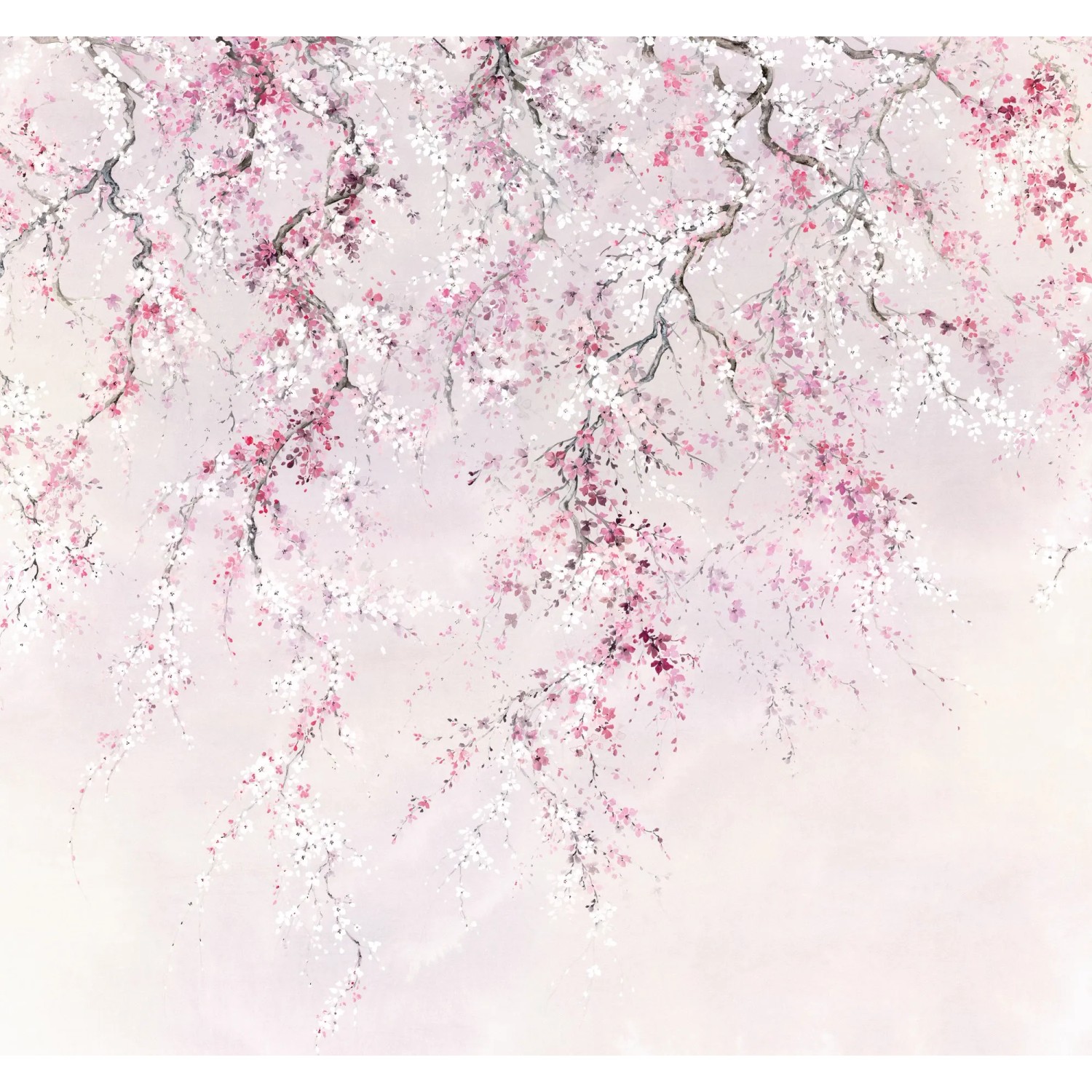 E-shop Komar Vliesová fototapeta Kirschblüten 300 x 280 cm