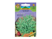 NOHEL GARDEN Semienka Šalvia lekárska