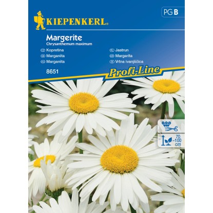 Kiepenkerl Semienka Margaréta Margerite