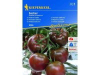 Kiepenkerl Semená Paradajka šalátová Sacher