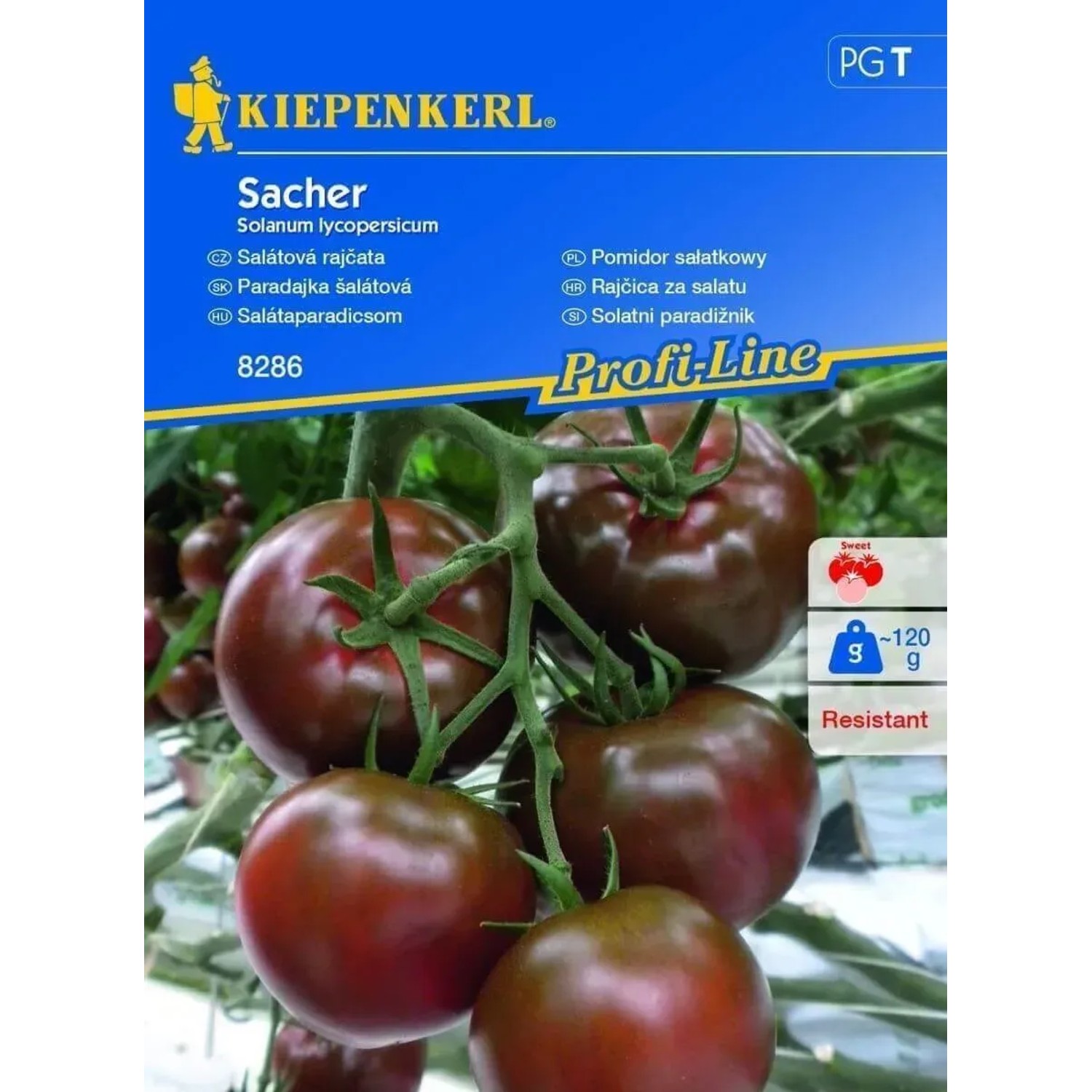 E-shop Kiepenkerl Semená Paradajka šalátová Sacher