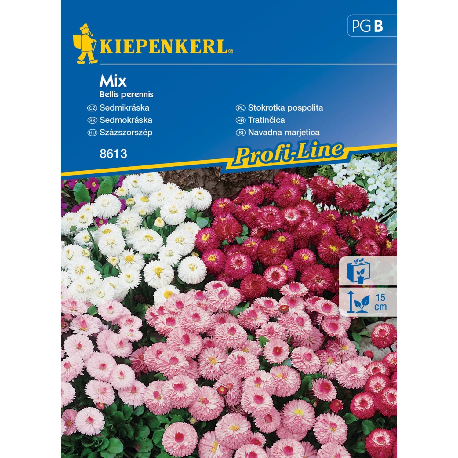 E-shop Kiepenkerl Semienka Sedmokráska mix