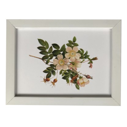 Bondecor Fotorám plastový, lišta 16,11 mm, biely, 15 x 21 cm