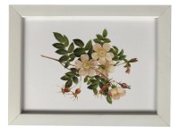 Bondecor Fotorám plastový, lišta 16,11 mm, biely, 10 x 15 cm