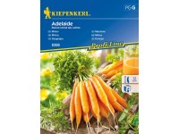 Kiepenkerl Mrkva (Daucus carota ssp. sativus) Adelaide F1