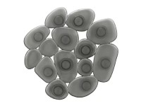 Kleine Wolke Dekoratívne kamienky do vane Sassolino dymovo sivej 6 ks Kleine Wolke Dekoratívne kamienky do vane Sassolino dymovo sivej 6 ks