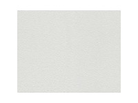 A. S. Creation Pretierateľná vliesová tapeta Meistervlies Creativ biela 104113