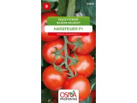 Semienka Rajčiak kolíkový Harzfeuer F1 (Solanum lycopersicum L.)