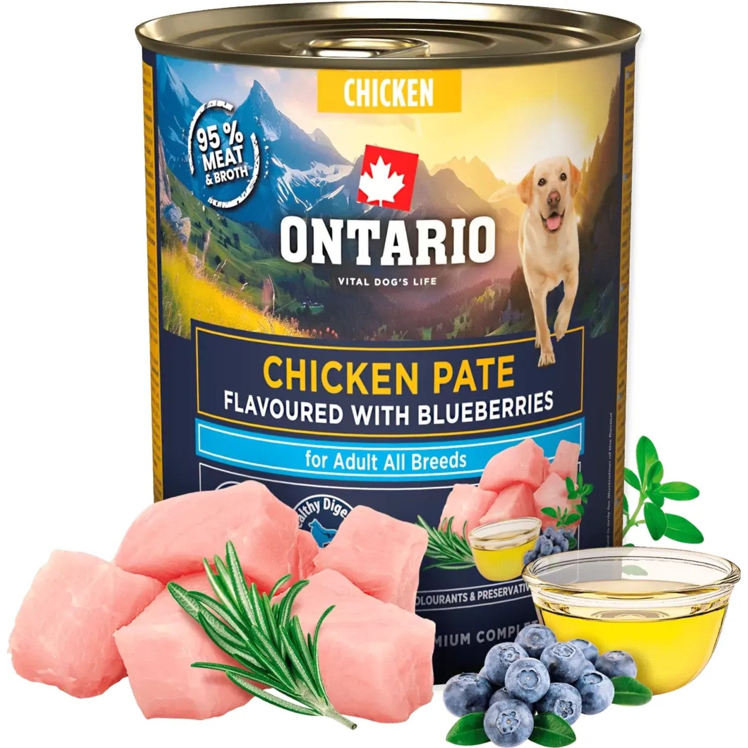 ONTARIO Konzerva pre psov Adult kuracie pate s príchuťou čučoriedok 800 g
