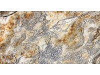 Bondecor Obraz, tlačené plátno Modern 80 x 150 cm