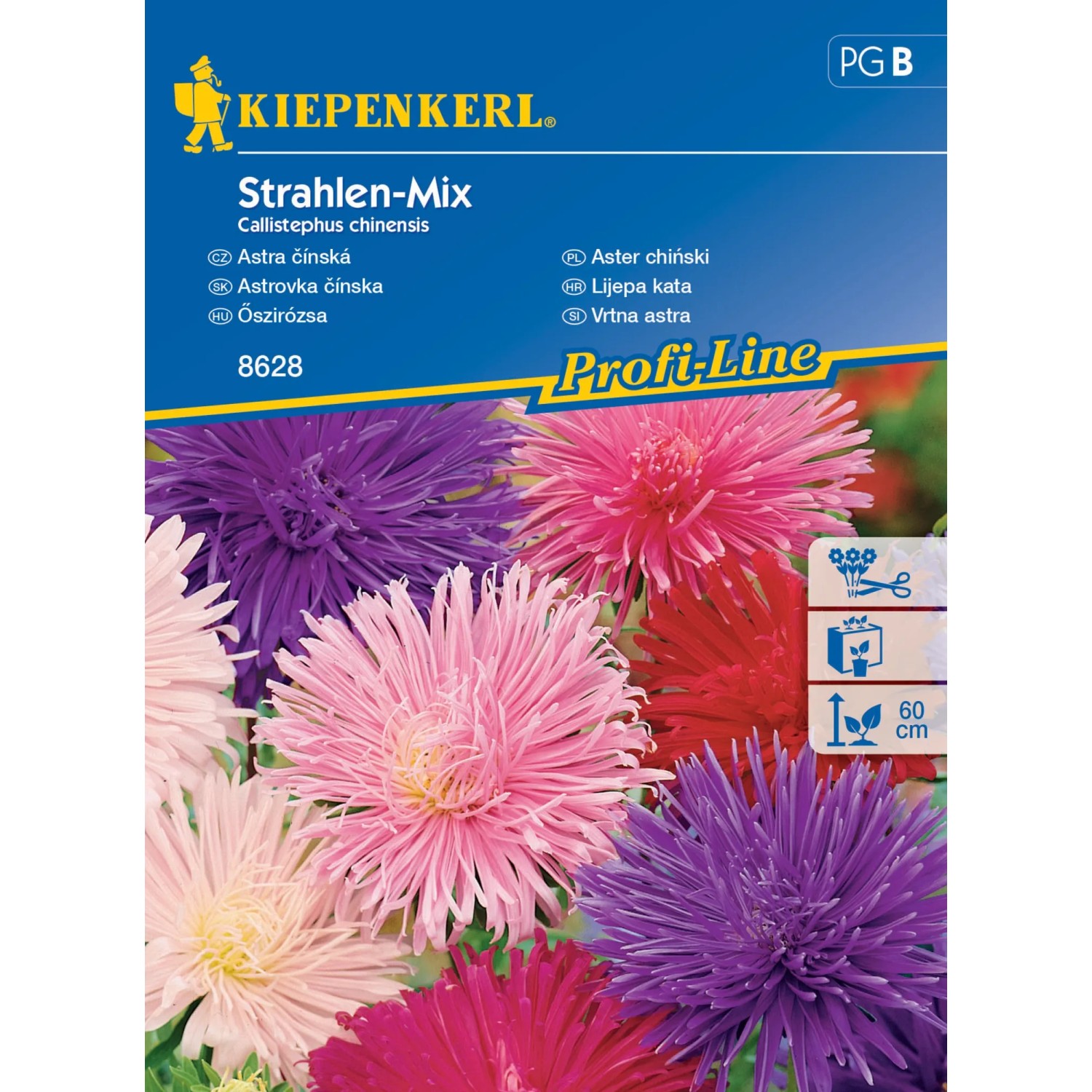 E-shop Kiepenkerl Semienka Astrovka čínska Strahlen mix
