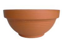 Gigante Misa na rastliny 37 cm