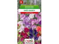 Aros Semienka Hrachor vonný, zmes farieb (Lathyrus odoratus)
