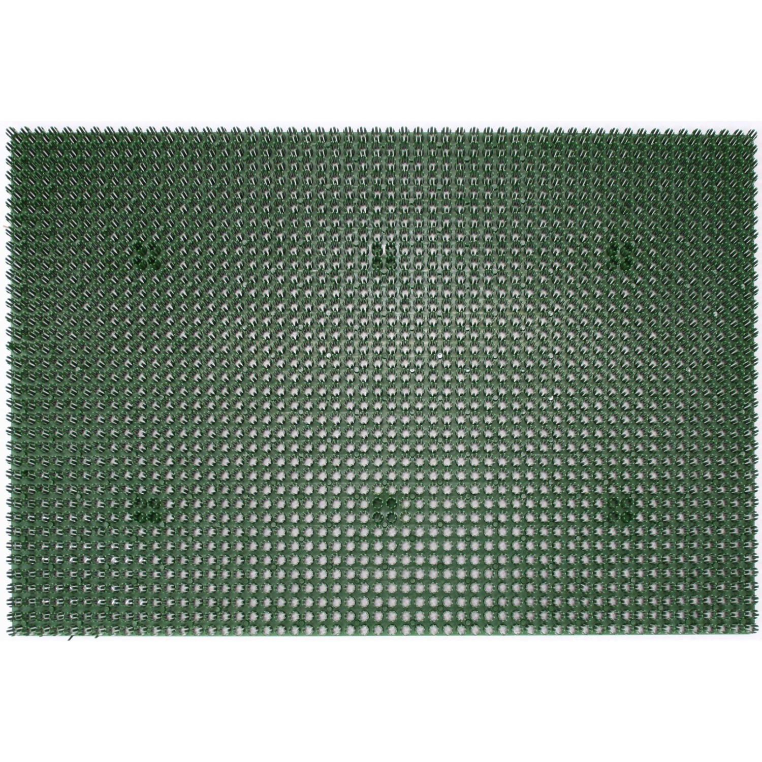 E-shop Astra Rohožka Season 40 cm x 60 cm zelená