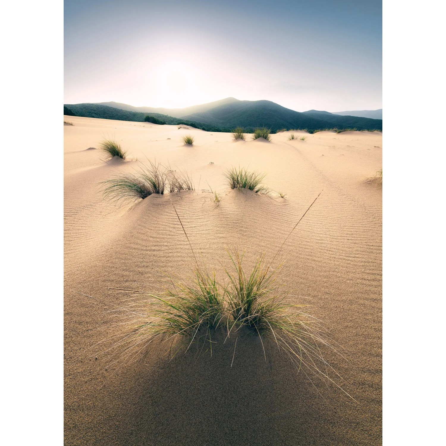 E-shop Komar Vliesová fototapeta Vivid Dunes 200 x 280 cm