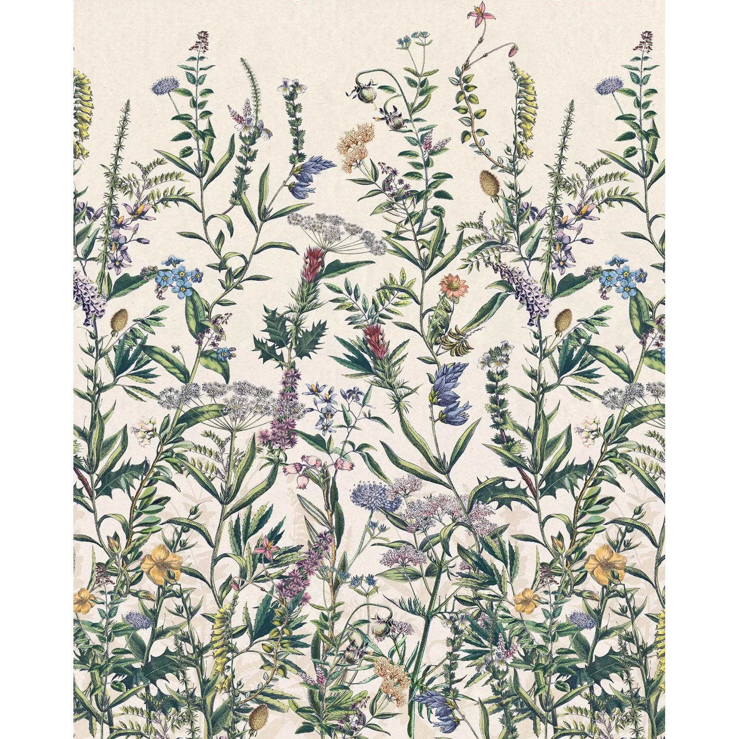 E-shop Komar Vliesová fototapeta Flowering Herbs 200 x 250 cm