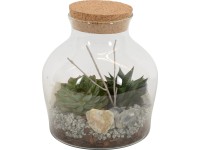 Aranžmán zo sukulentov v sklenenej fľaši dĺžka nádoby cca 19 cm