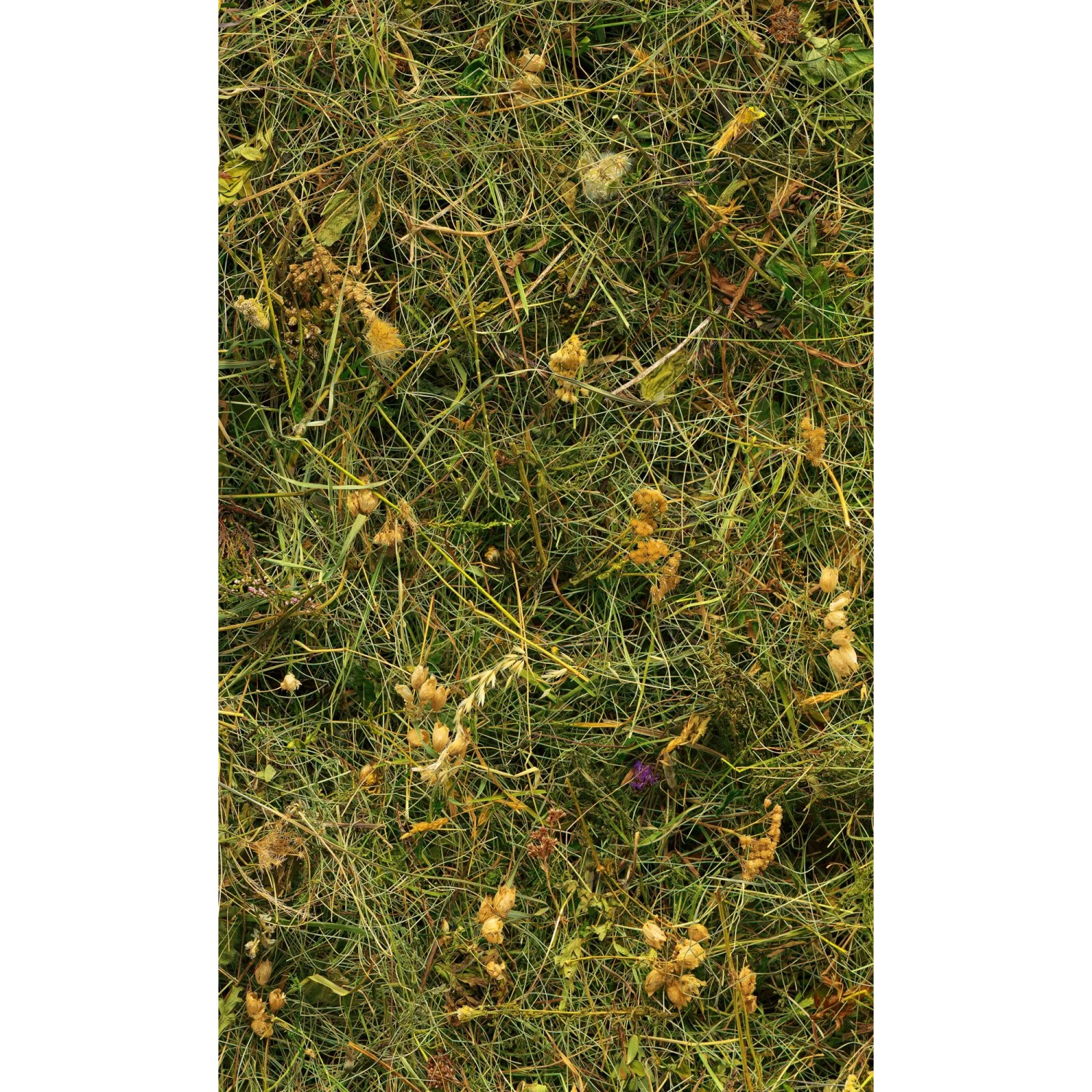E-shop Komar Vliesová fototapeta Bergheu 150 x 250 cm