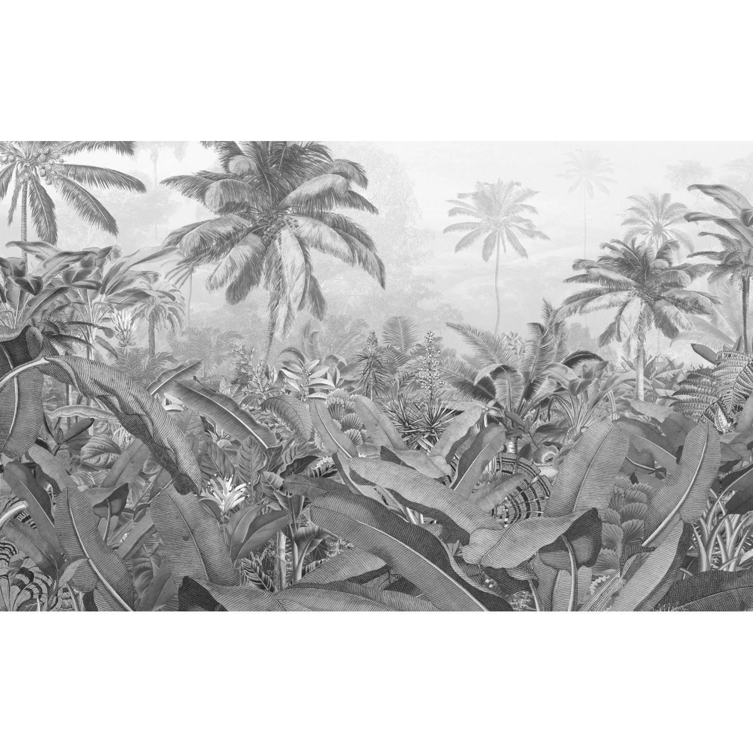 E-shop Komar Vliesová fototapeta Amazonia Black and White 400 x 250 cm