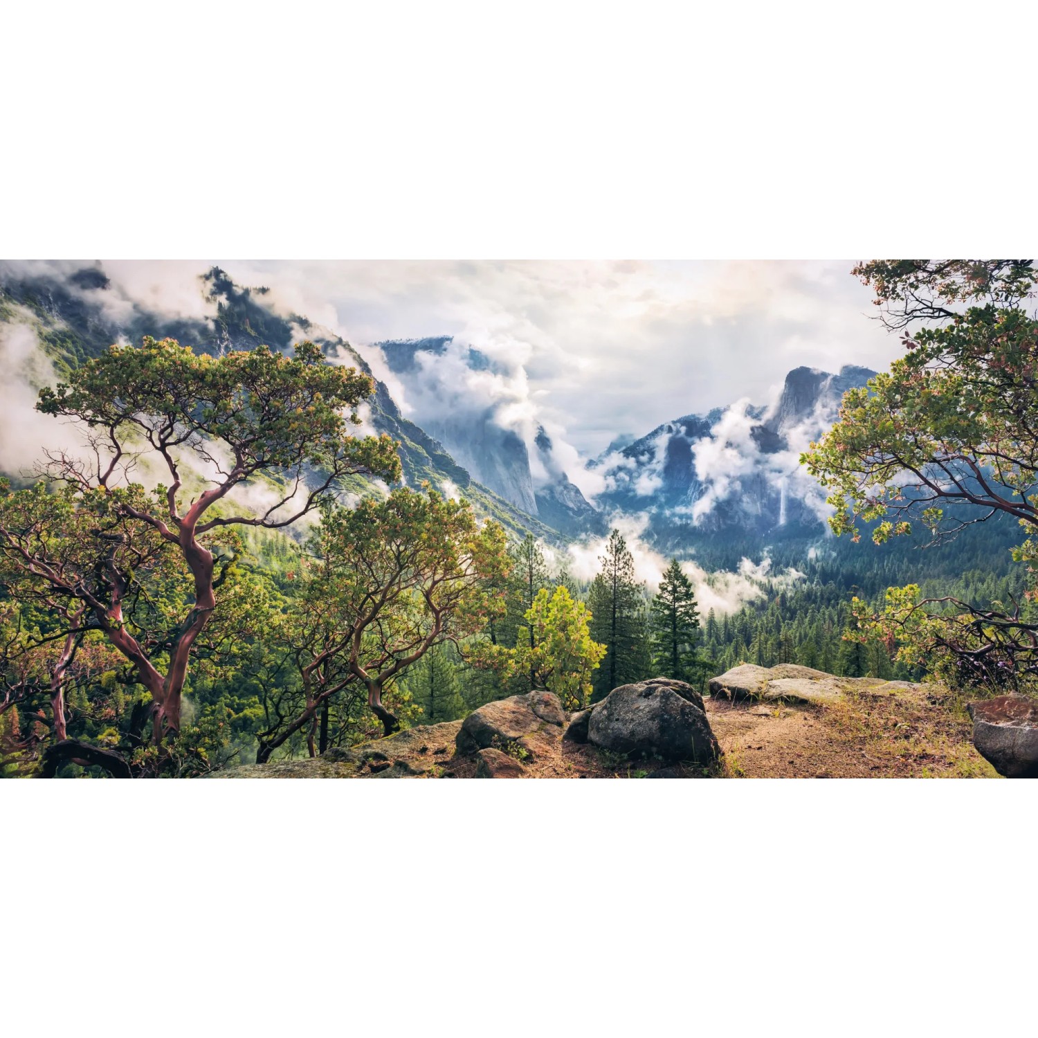 E-shop Komar Vliesová fototapeta Unique Paradise 200 x 100 cm