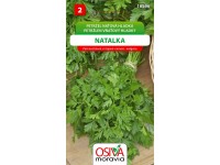 Aros Semienka Petržlen vňaťový hladký Natalka