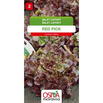 OSIVA Moravia Šalát listový "Red Pick" (Lactuca sativa)
