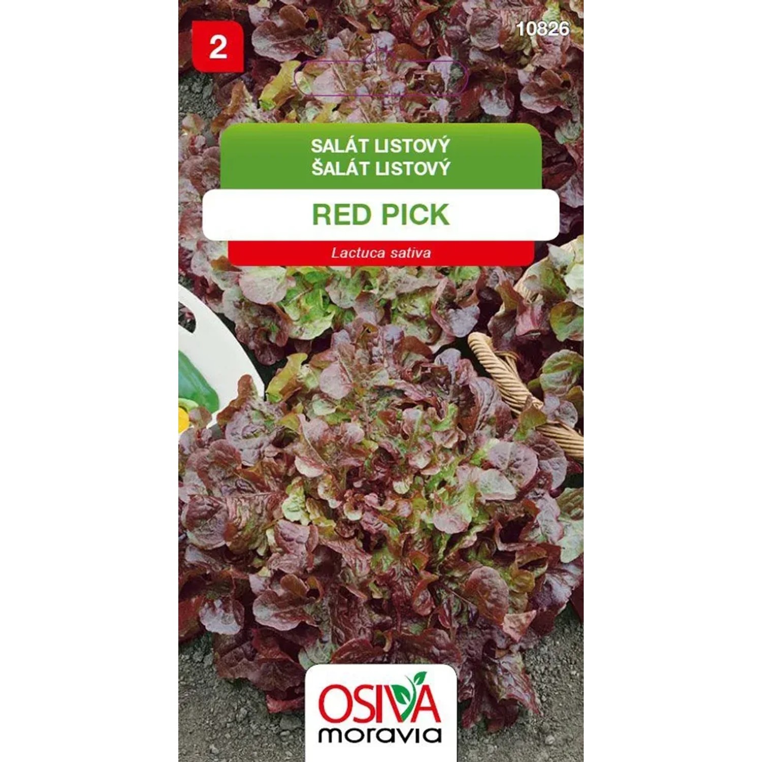 E-shop OSIVA Moravia Šalát listový "Red Pick" (Lactuca sativa)