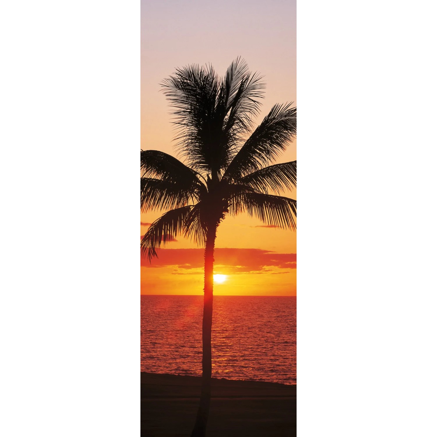 E-shop Komar Vliesová fototapeta Hawaii 100 x 280 cm
