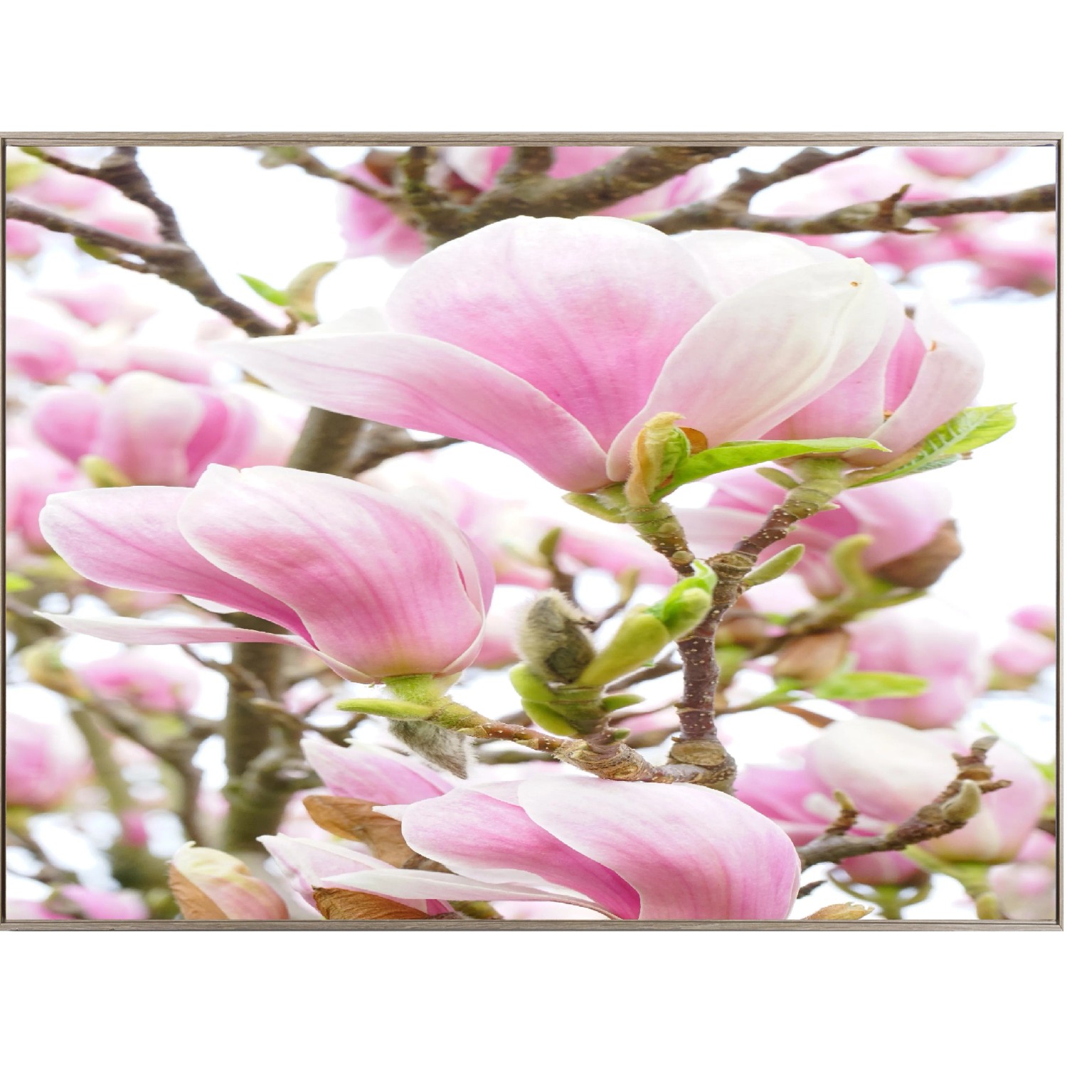 E-shop Bondecor Zarámovaný obraz Shadow Flora 59 x 84 cm