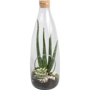 Aranžmán aloe v sklenenej nádobe, priemer kvetináča cca 15 cm. Dekoratívna izbová rastlina v skle s korkom.