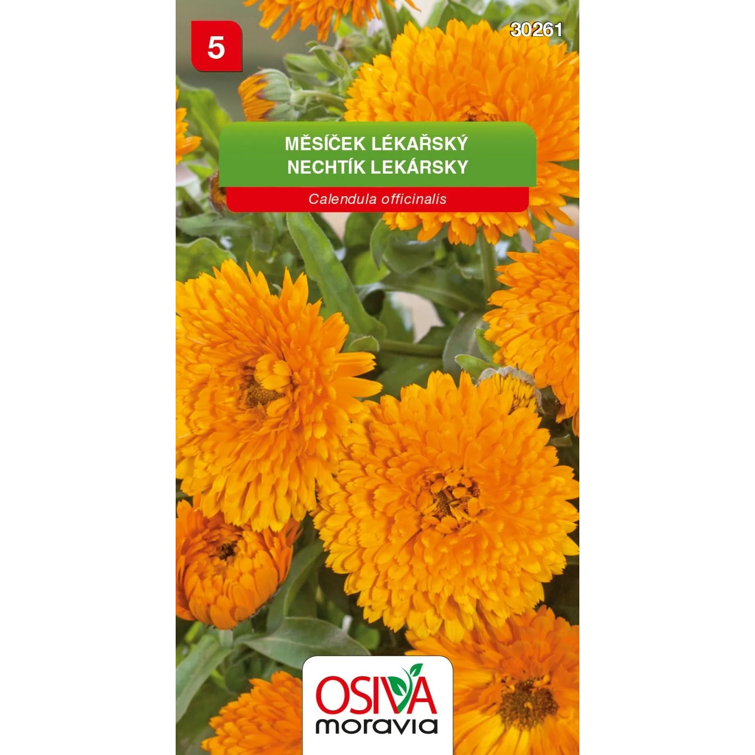 E-shop Osiva Moravia Semienka Nechtík lekársky (Calendula officinalis)