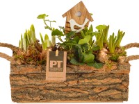 Aranžmán s rôznymi rastlinami kvitnúcimi na jar v debni priemer cca 25 cm