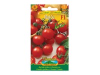 Gardenie Rajčiak kolíkový koktailový TASTIER F1 - hybrid